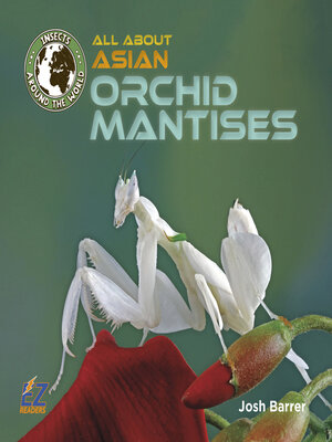 cover image of All About Asian Orchid Mantises